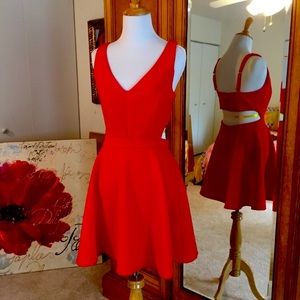 L’Atiste by Amy Sexy Fit and Flare Cut Out Dress